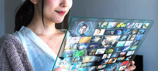 Plateforme vidéo</br>(logiciel)